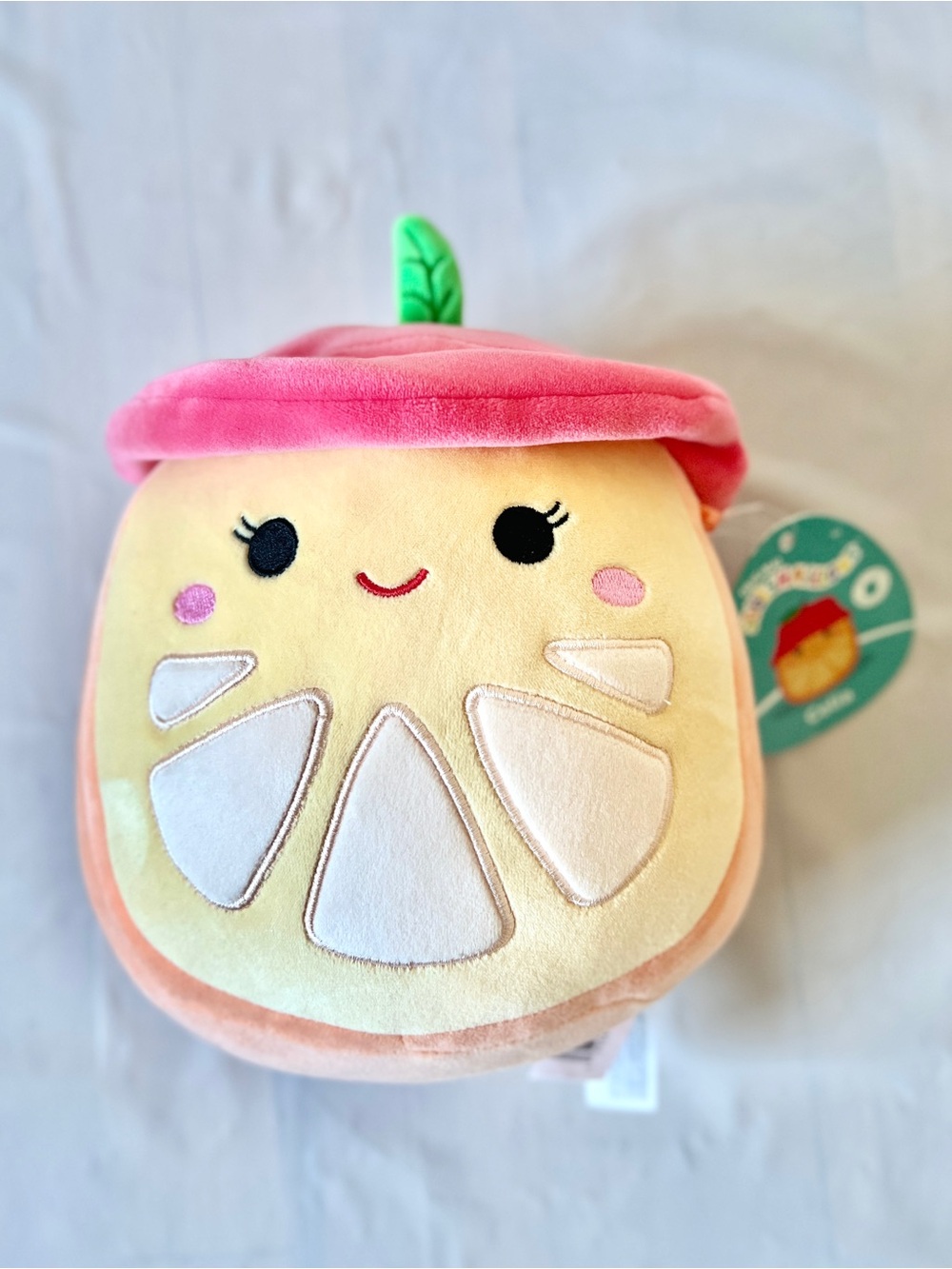 Squishmallows Celia The Orange pink Hat Jazwares 8" Picnic Squad Plush Toy NWT